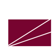 apm Logo